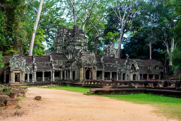 Naklejka premium Ancient Ta Prohm Temple Ruins, Angkor Wat, Siem Reap, Cambodia