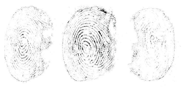 Abstract grunge realistic human fingerprints side by side, black ink fingerprint marks on white background, forensic identification style, detailed ridge texture, minimal clean design.