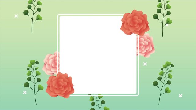 Beautiful square frame with red and pink roses and green leaves on a light green background, a charming floral motion design for various romantic or celebratory projects.