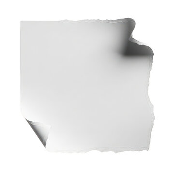 A square piece of white paper with a single curled corner and torn edge on white