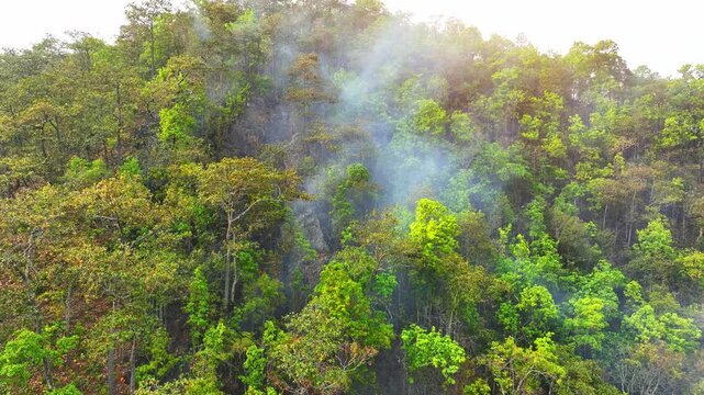 Aerial view of forest fire spreading through tropical vegetation, illustrating ecological collapse, soil degradation, and long-term environmental consequences of land and climate stress. Thailand. 4k.