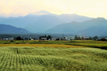 大糸線からの車窓風景 © 1971