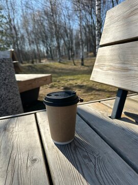 Takeaway coffee cup on wooden park bench, outdoor coffee break, slow living, mindful pause and everyday lifestyle concept in natural light.