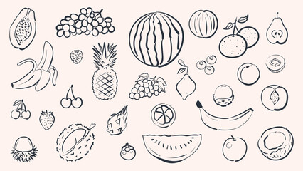 Big collection of fruit in vector doodle style. Hand drawn minimalist fruits and berries like banana, pineapple, watermelon, grapes and papaya with blue ink texture for organic food menu and packaging © Ayaulym