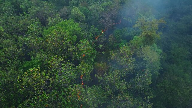 High-angle aerial view of forest fire in tropical jungle, flames and smoke rising above green canopy, symbolizing environmental imbalance, habitat loss, and climate crisis escalation for the future.

