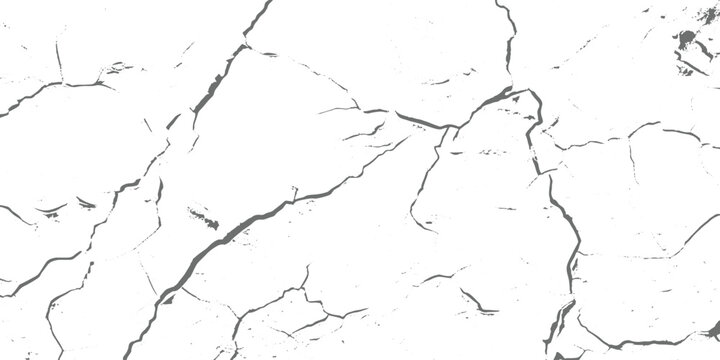 White cracked surface texture, abstract background, fine fracture lines, high contrast, minimalistic style vector illustration.