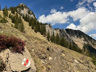 Fototapeta premium Trails for walking, hiking, sports and recreation on the slopes of the Melchtal alpine valley and in the Uri Alps mountain massif, Kerns - Canton of Obwalden, Switzerland (Kanton Obwald, Schweiz)