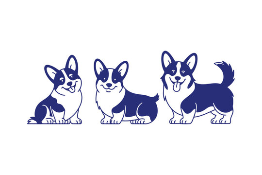 Three blue and white corgis in sitting and standing poses on a white background