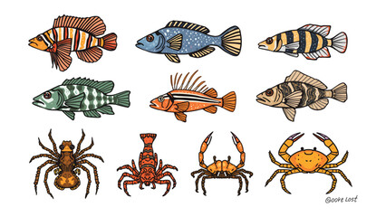 Aquatic Creatures Collection: A captivating collection of aquatic creatures, including fishes, spider, crabs and lobster, showcasing their intricate details and vibrant colors. © Ajm