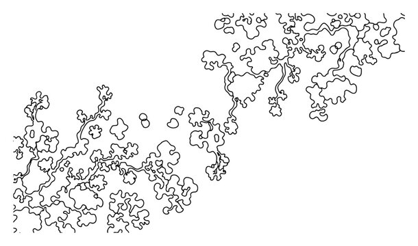 Intricate continuous line art illustration of organic coral or lichen structures