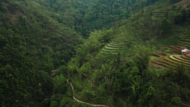 Sapa, Lao Cai Province, Vietnam - A Stunning View of Terraced Fields and Dense Greenery Nestled in the Mountains - Aerial Drone Shot