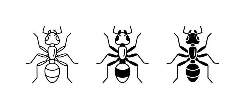 Three Ant Icons, Insect Vector Graphics, Minimalist Bug Illustrations, Black and White Arthropod Designs