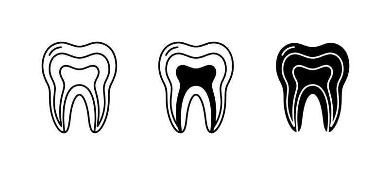 Dental Anatomy Icons, Tooth Cross-Section Vector Graphics, Oral Health Symbols for Dentistry and Medical Design