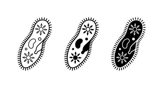 Microscopic Paramecium Vector Icons, Single-celled Organism Illustrations, Protozoa Science Graphics, Biological Cell Shapes