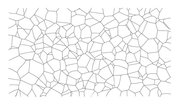 Black and white abstract polygonal cellular network pattern