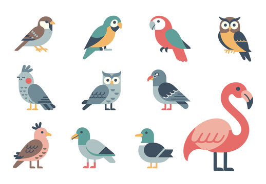 Flat Bird Vector Illustration Set