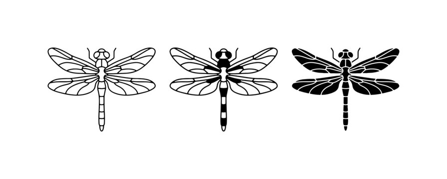 Elegant Dragonfly Silhouettes, Vector Art Collection: Delicate Insect Graphics for Nature Designs, Tattoo Inspiration, and Decorative Elements