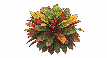Obraz premium Top-down view of a vibrant, multi-colored potted plant with variegated leaves