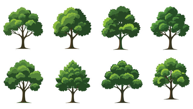 Green deciduous tree collection, set of 8 flat vector tree icons, lush summer foliage plant symbols for landscape design and environmental maps