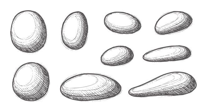 Hand Drawn Collection of Various Shaped Eggs and Oval Stones hatched monochrome
