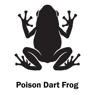 Top View Poison Dart Frog Silhouette - Symmetrical Tropical Amphibian Vector