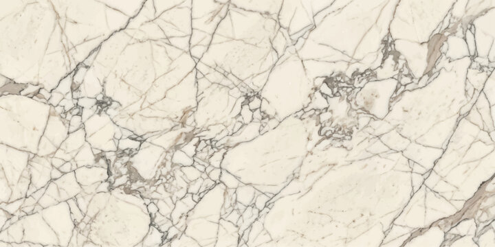 Intricate veining pattern on elegant marble, a luxurious and timeless surface