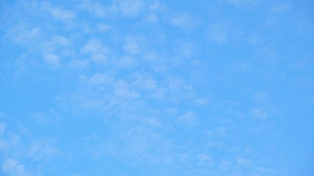 A blue sky timelapse video footage featuring delicate altocumulus clouds spread across a bright atmosphere, creating soft textures, peaceful motion, fresh weather vibes, calming daytime scenery. 4k.
