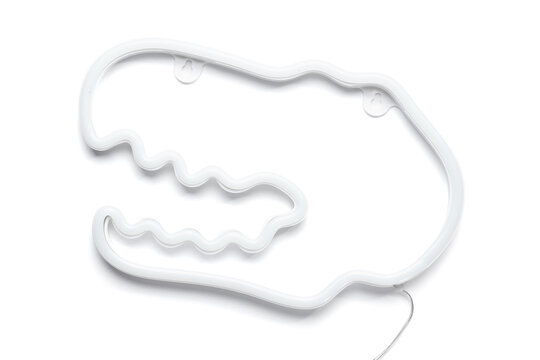 Neon lamp in shape of dinosaur on white background, top view