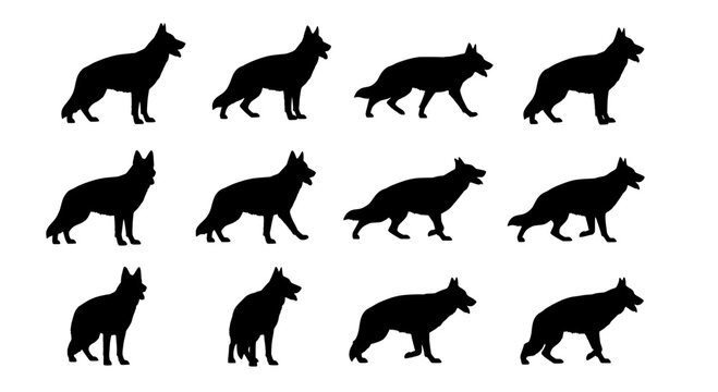 Wolves silhouette set with various poses and stances featuring black, animals, wild with nature and predators elements for forest, pack projects,