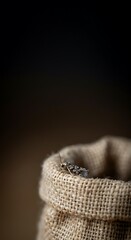 Obraz premium Pantry Pest Moths On Grain Bag, Minimalist Food Storage Problem, Macro Focus, Large Space