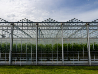 Naklejka premium Modern Commercial Greenhouse with Growing Crops - Agricultural Farming Facility