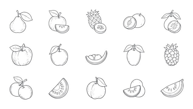Hand drawn line collection of various fruits and fruit slices pear apple pineapple