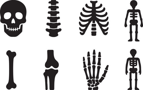 Black and white vector silhouettes representing human skeletal system parts including skulls ribs spines and hands for medical educational use