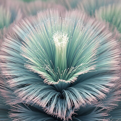 Fototapeta premium Closeup of a vibrant unique and stunning silver plant.