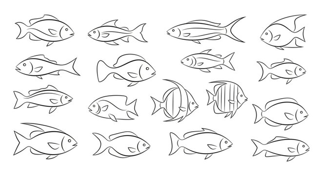 Variety of Different Fish Species.