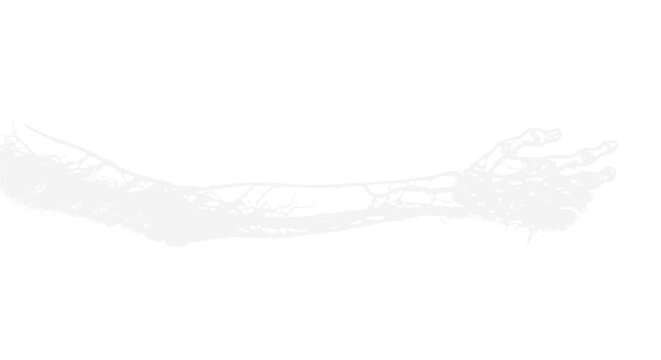 Human Arm Anatomy, Veins and Arteries Network, Medical Illustration, White Background