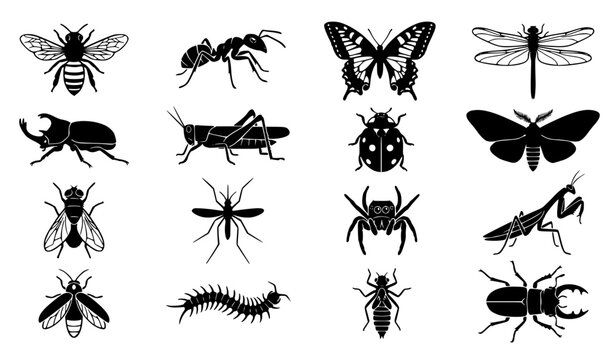 ​Detailed Insect and Bug Silhouette Collection Featuring Butterfly, Bee, Praying Mantis, Centipede, Beetle, and Dragonfly for Entomology and Nature Branding