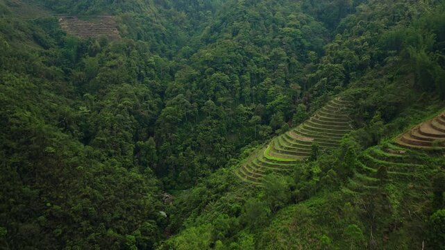 Sapa, Lao Cai Province, Vietnam - A Scenic View of Lush Greenery and Intricate Patterns of Terraced Rice Fields, Nestled in the Hills - Drone Flying Forward