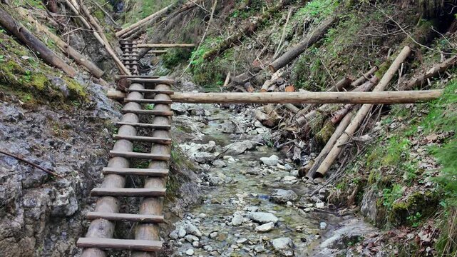 Series of wooden ladders for hikers navigating the narrow Sucha Bela canyon in the Slovak Paradise National Park in Slovakia