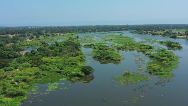 Puducherry's Sankaraparani or Gingee River flows through lush wetlands dotted with green islands and aquatic vegetation. Drone shot shows the expansive river ecosystem and surrounding rural landscape.