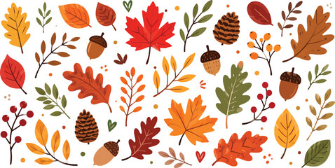 Autumn Fall Leaf & Botanical Doodle Illustration Set © Sheikh