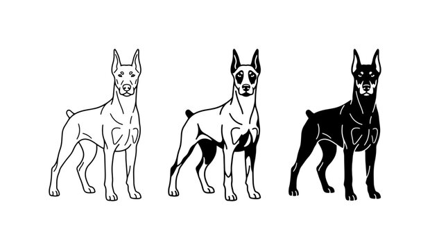 Doberman Pinscher Dog Vector Icons, Silhouette and Outline Illustrations for Pet Branding, Canine Graphics, and Animal Design Projects
