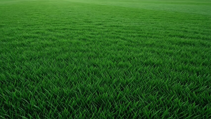 Lush green grass field vibrant texture and natural landscape © Abdul