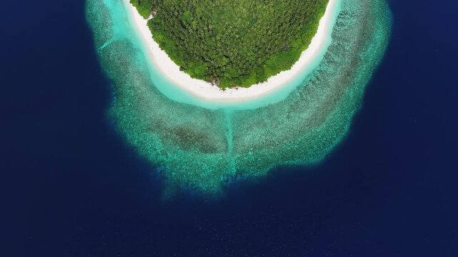 Aerial view of a tropical island tip featuring lush green palm trees, white sandy beaches, and vibrant coral reefs surrounded by deep blue ocean water in Kendhoo, Baa Atoll, Maldives.