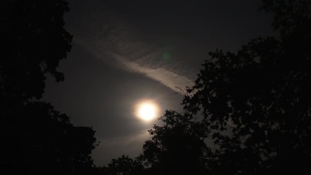 Bright moon and clouds above nighttime tree silhouettes creating atmospheric natural landscape with soft glow and deep dark sky