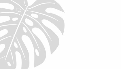 Monstera Leaf Background with Tropical Botanical Foliage Flat Vector Style © Zayyan 