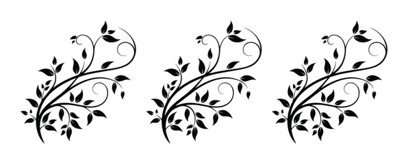 Elegant floral swirl ornaments, black leaf vine vector set, decorative filigree scroll elements for wedding invitations and luxury branding © Jemie