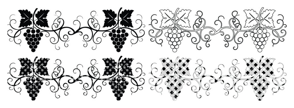 Vintage grape vine borders with decorative swirls, black and white grapevine vector set, elegant wine label ornaments and floral dividers