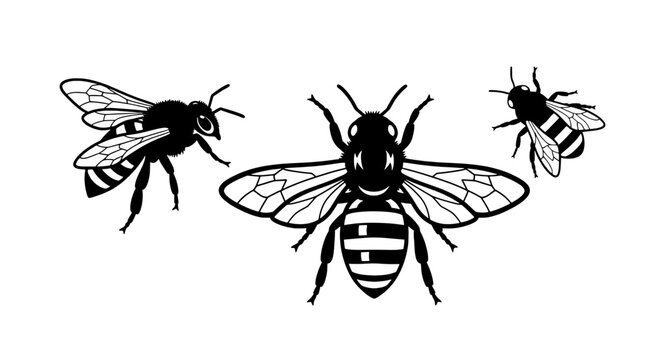 Bee insect line art swarm with three bumble bees showing wings, antennae, and striped abdomen for nature icons