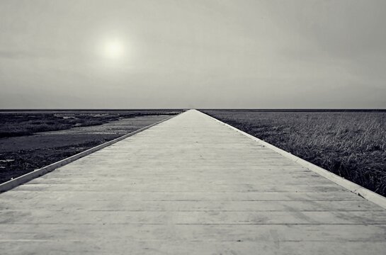 Very long jetty in the North Sea at low tide